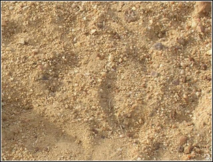 Песчано-гравийная смесь обогащенная 