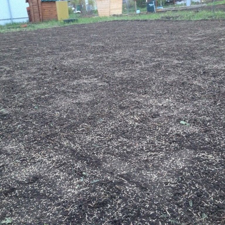 Подготовка почвы под газон