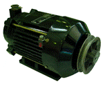 Электродвигатель 0,55 кВт (АИМЛ-41 А4-1) 12841