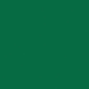 Спортивное покрытие Таркетт Омниспорт R65 Светло-зеленый (Field green) (2м) #1