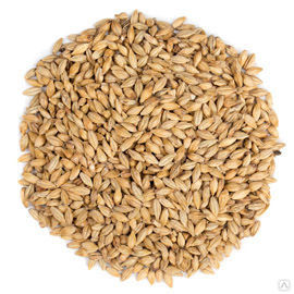 Зерноотход пшеничный полезное зерно 60-80%