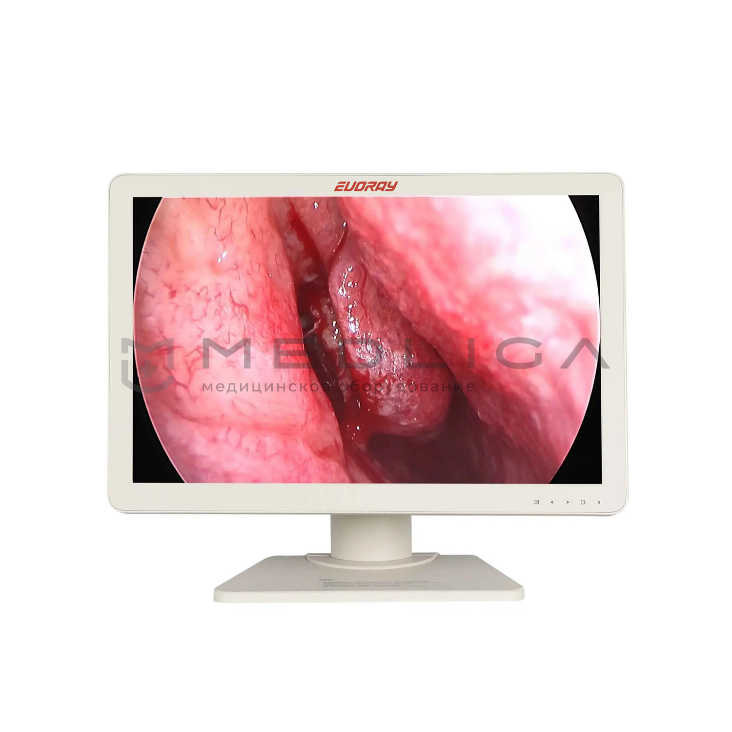 Монитор 24” Full HD эндоскопический-хирургический EVORAY Е2421