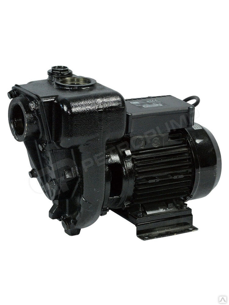 E300 230V - Роторный лопастной насос для ДТ, 550 л/мин PIUSI