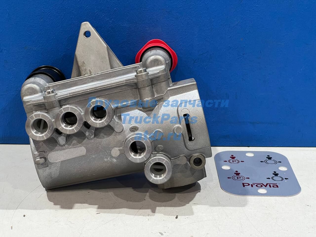 Ormonda rus hd porno