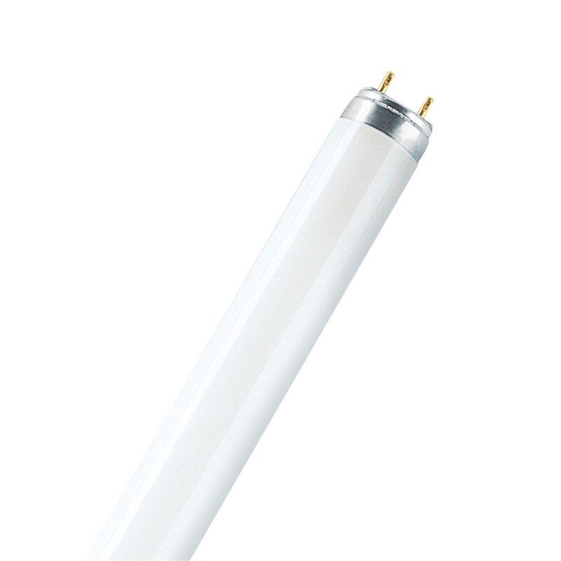 Лампа люминесцентная Osram Lumilux L 18W/865 18 Вт G13 T8 6500 К (25 штук в упаковке, 4058075693098)