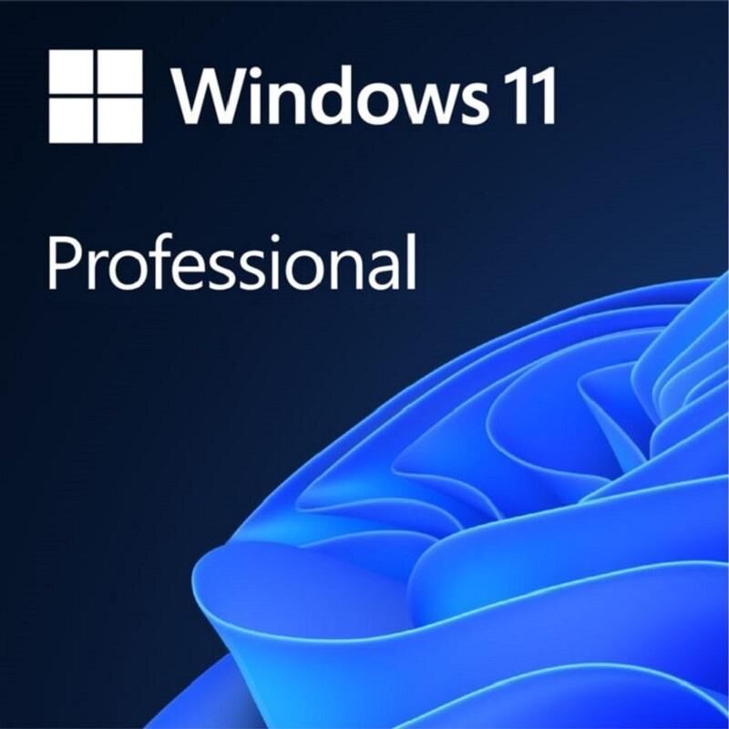 Операционная система Microsoft Windows 11 Professional OEM DVD для 1 ПК (FQC-10547)