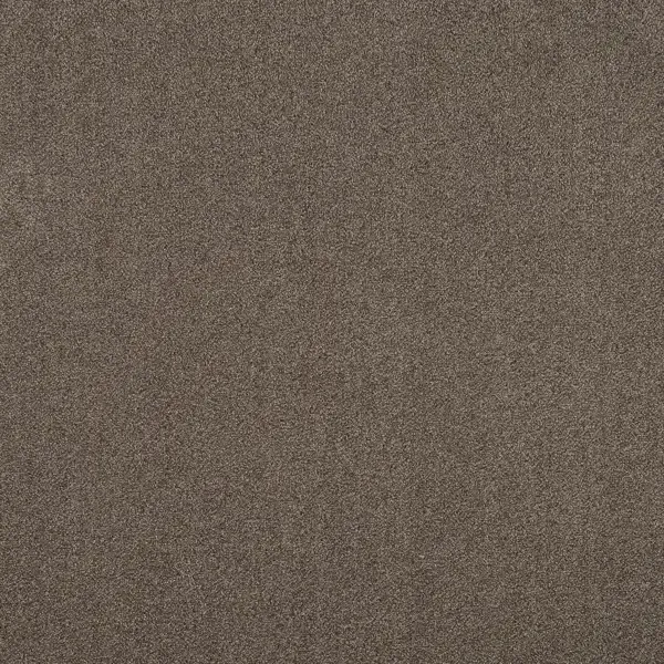 Ковровое покрытие ворсистое «Парадиз 570» ворсовое 3 м цвет капучино