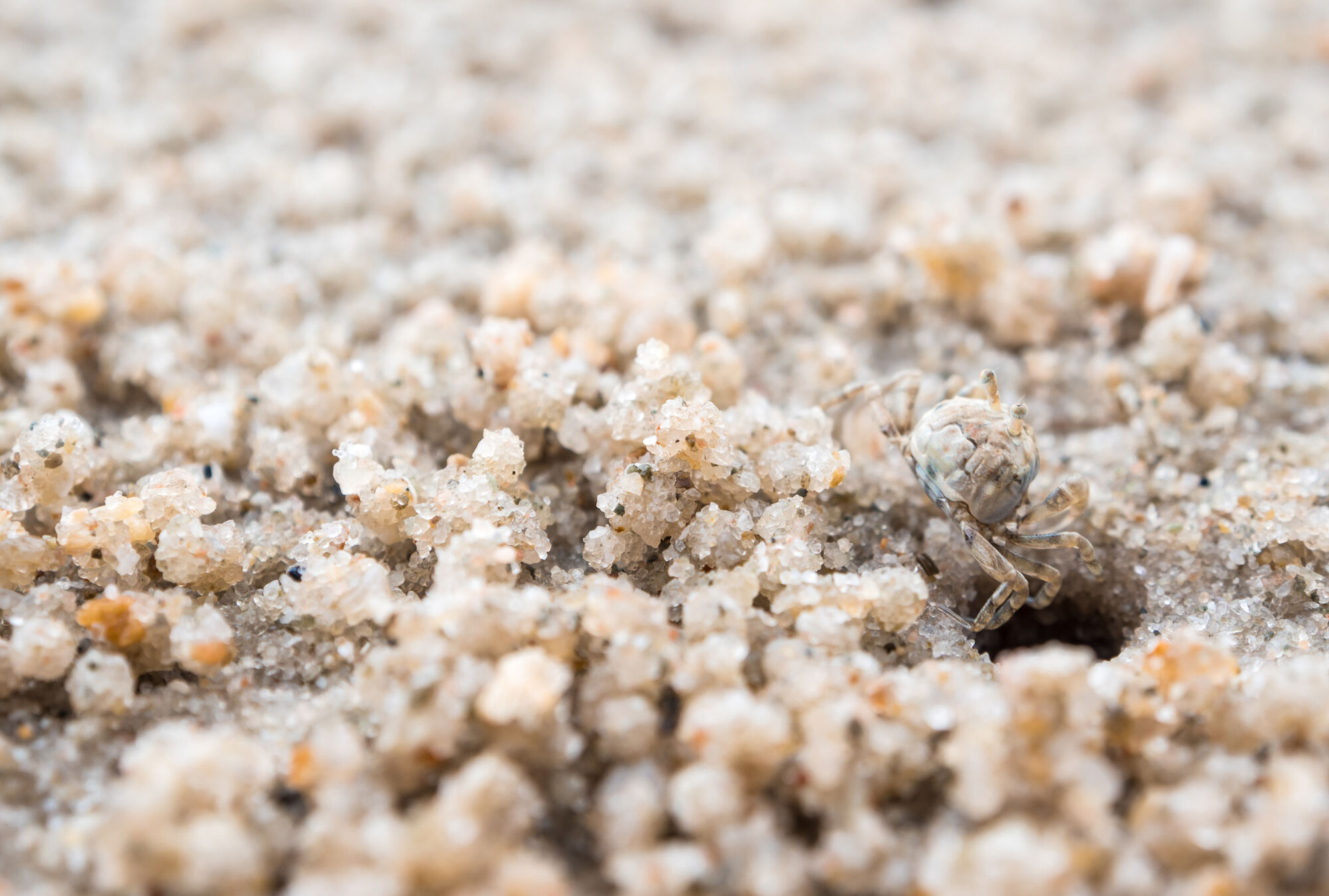 Кварцевый песок 1,2 - 3,0 мм с доставкой