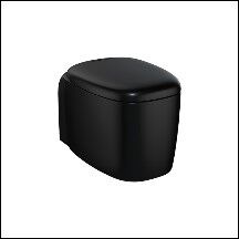 Унитаз VitrA Plural Rim-Ex безободковый подвесной, цвет матовый черный 7830B483-0075