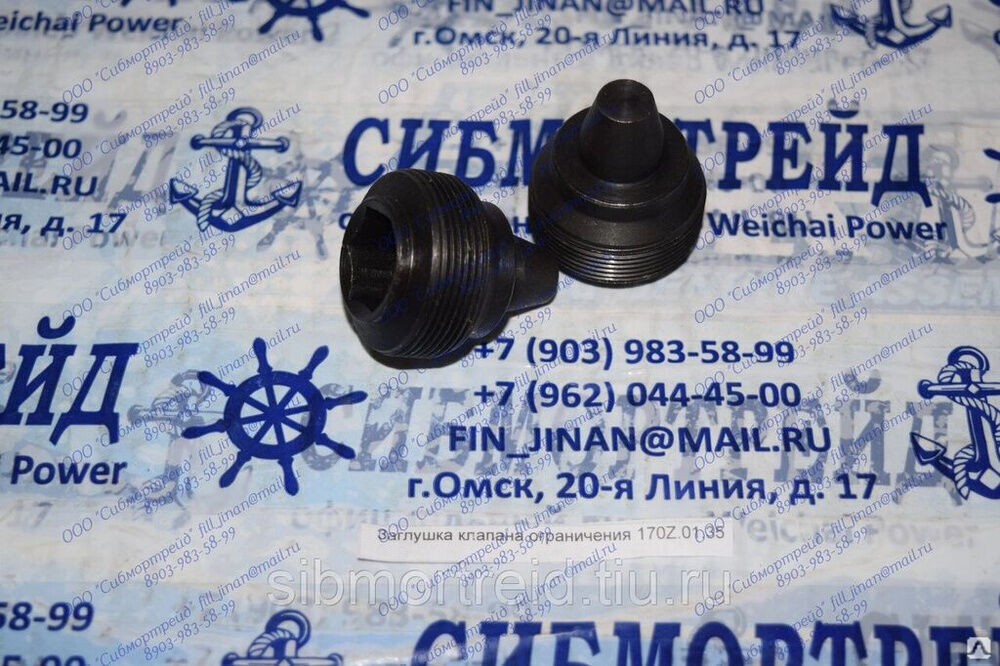 Заглушка клапана ограничения 170Z.01.35 для двигателей 6170, 8170 ...
