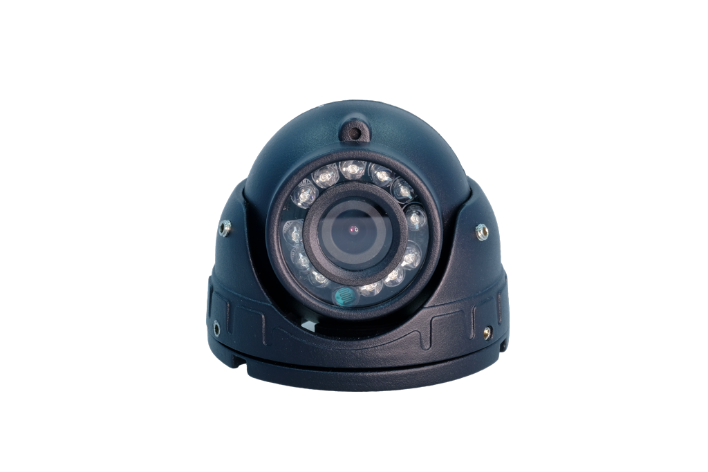 Купольная IP-камера (Dome) ViGUARD CAM TYPE D2