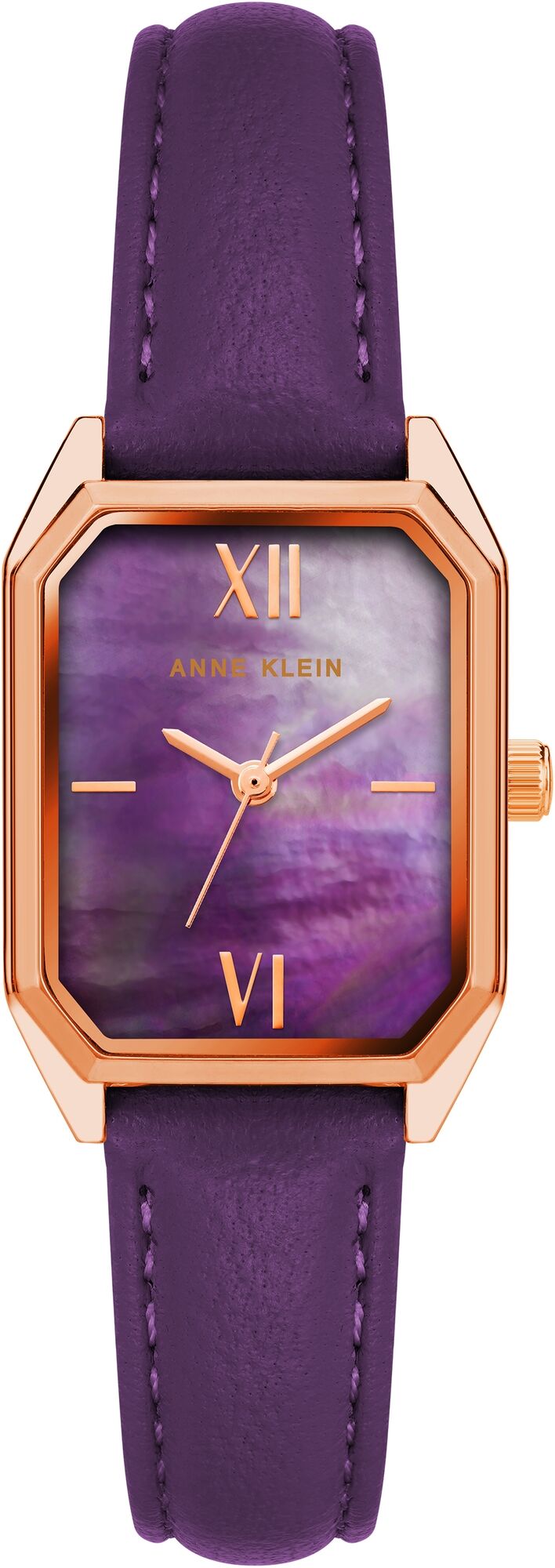 Женские наручные часы Anne Klein Leather 3874RGPR