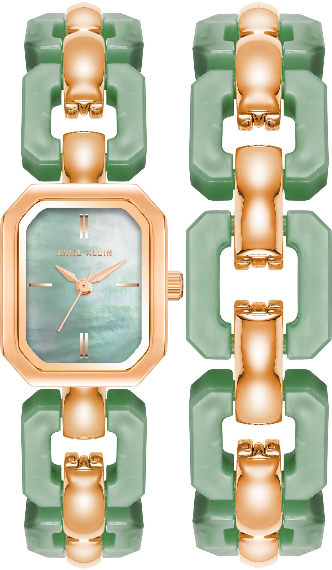 Женские наручные часы Anne Klein Plastic 4078GNST