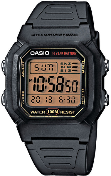 Мужские часы Casio Digital W-800HG-9A