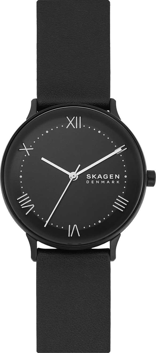 Мужские часы Skagen Nillson SKW6623