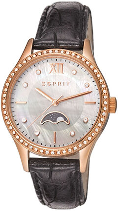 Женские часы Esprit Cordelia ES107002004